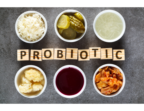 Natural Probiotics for Pets